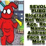 Sevou PUBG Wiki, Age, Pubg ID, Face, Income, Girlfriend, and More.