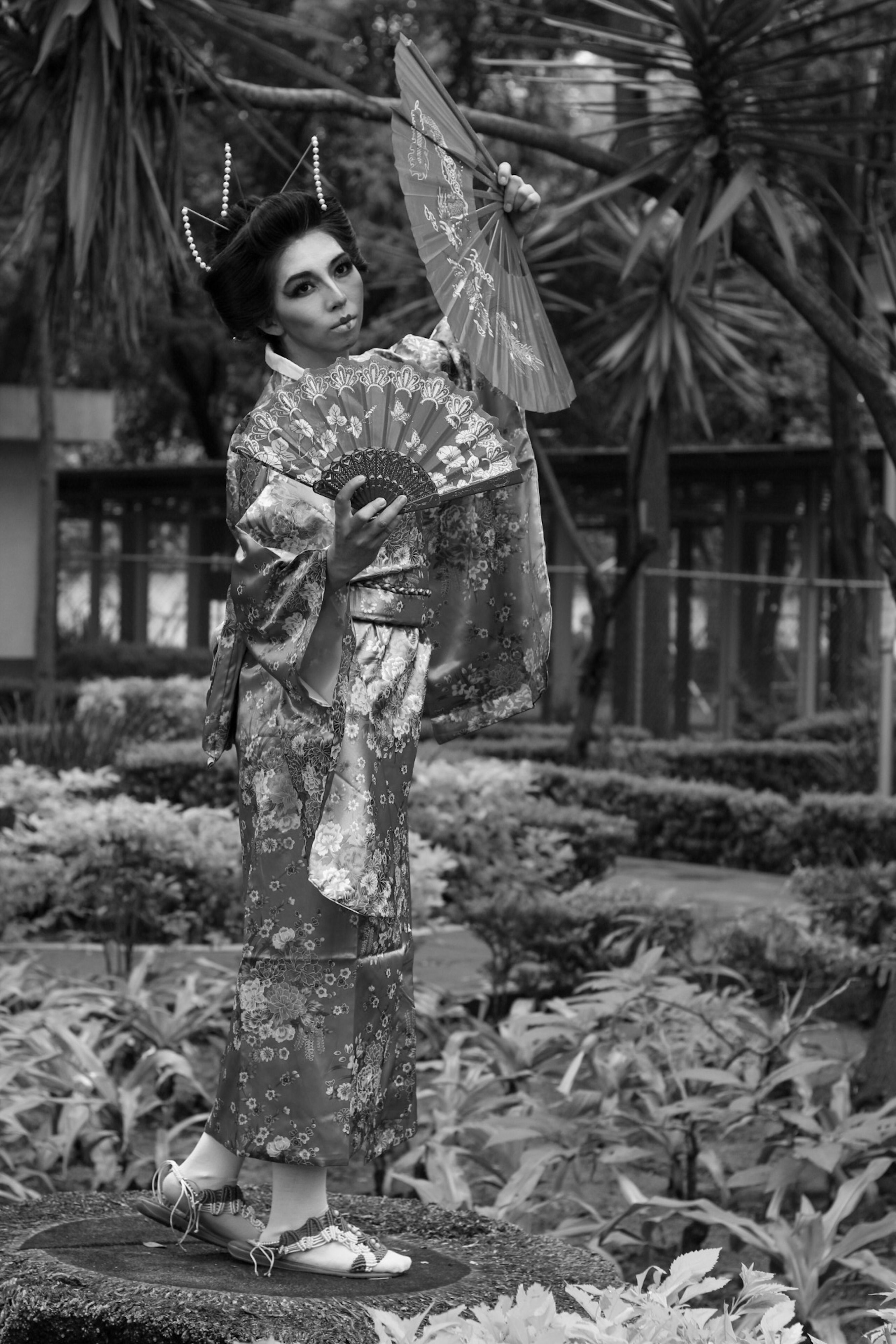 Courtesans Who Became Cultural Icons: The Real Reason History Still Remembers Them 4 Black and white portrait of a geisha in a traditional kimono holding fans
